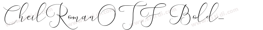 CheilRomanOTF Bold字体转换